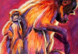 Monkeys, Geladas (60 x 80 cm)
