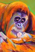 Monkey (Orang Outang)  [Gutenberg Prize about emotion, 2013] (65 x 54 cm)