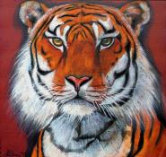 Tiger (60 x 60 cm)